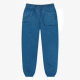 Jordan Essentials Brooklyn Fleece Pants - Blue