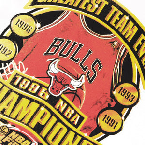 Mitchell & Ness Bulls Greatest Team Ever Tee - Vintage White – Point Break  NZ