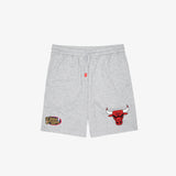 Chicago Bulls Hometown Champs Shorts - Grey