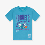 Charlotte Hornets Division Arch Vintage Tee - Faded Teal