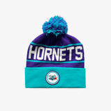 Charlotte Hornets Team Pom Beanie - Teal