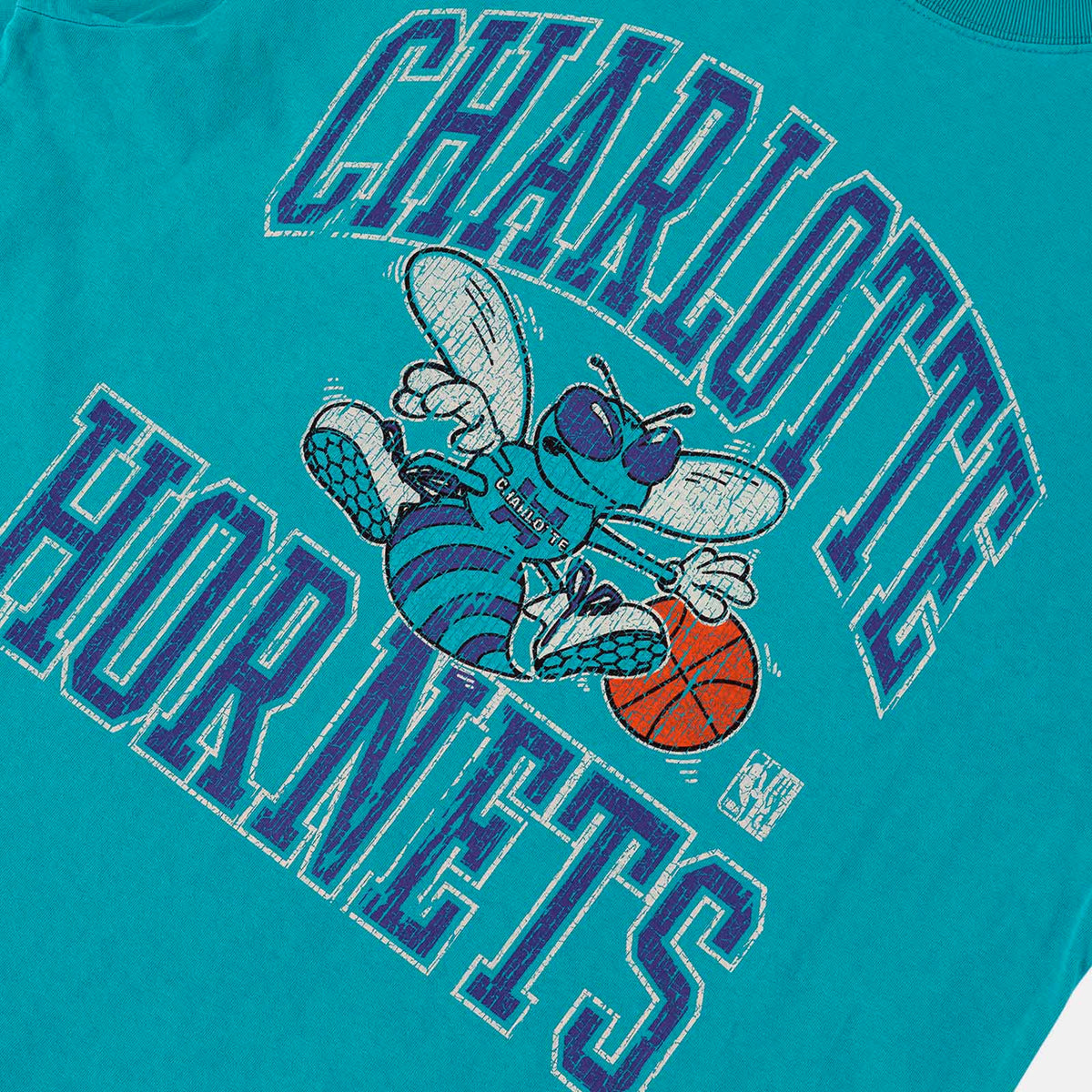 Charlotte Hornets Vintage HWC Ivy Arch Tee - Faded Teal