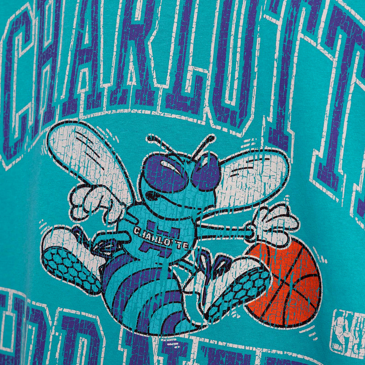 Charlotte Hornets Vintage HWC Ivy Arch Tee - Faded Teal