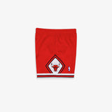 Chicago Bulls 96-97 HWC Youth Swingman Shorts - Red