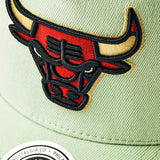 Chicago Bulls Diamond One Classic Redline Snapback - Cucumber