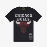 Chicago Bulls Vintage HWC Big Logo Colour Tee - Faded Black