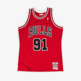 Dennis Rodman Chicago Bulls 97-98 HWC Swingman Jersey - Red