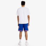 East All-Star 1993 HWC Swingman Shorts - Blue