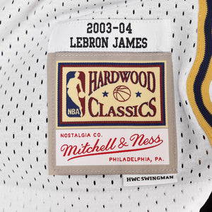 LeBron James 03-04 Hardwood Classic Swingman NBA Jersey