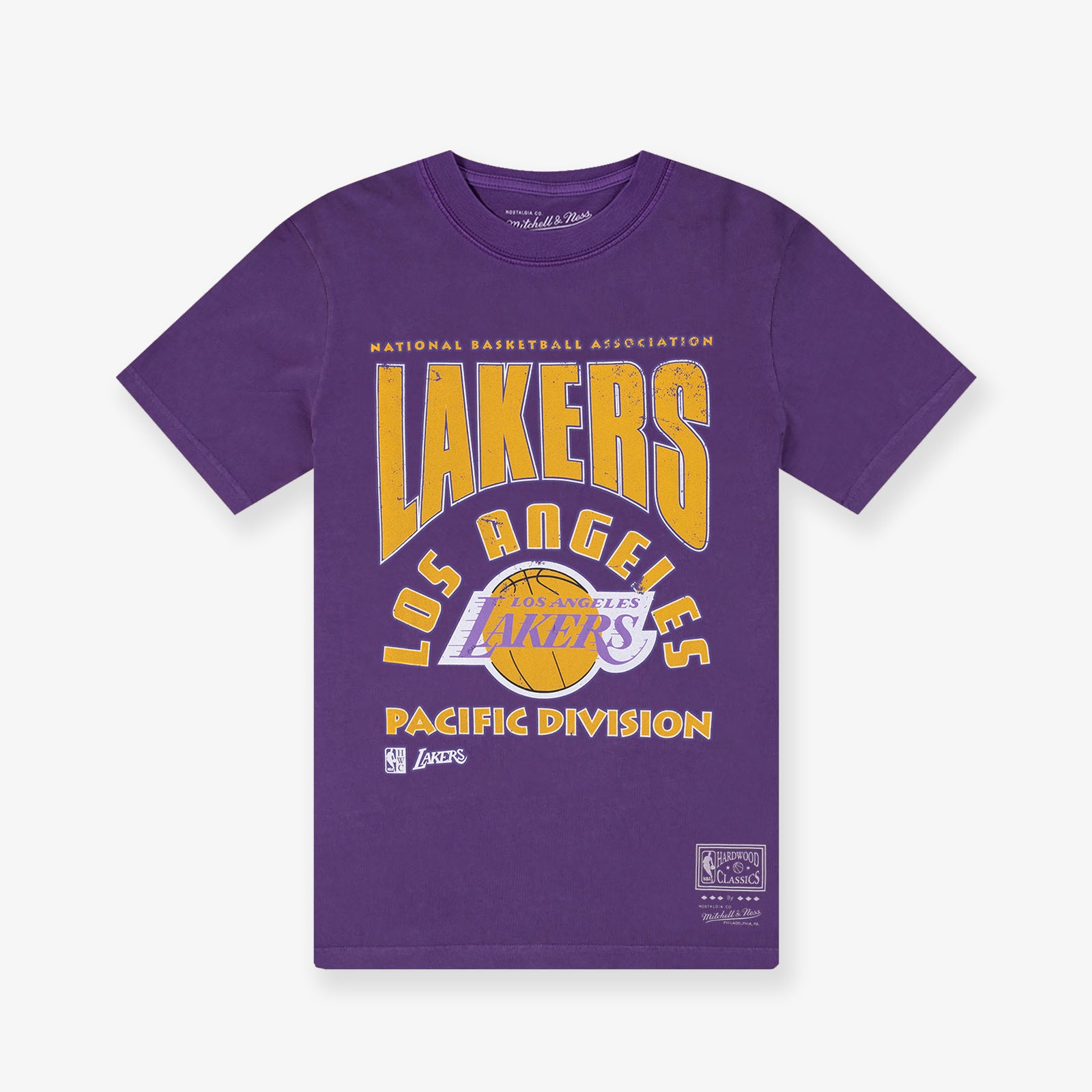 Los Angeles Lakers Division Arch Vintage Tee - Faded Purple - Throwback