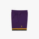 Phoenix Suns 96-97 HWC Swingman Shorts - Purple