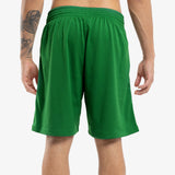 Seattle Supersonics 94-95 HWC Swingman Shorts - Green