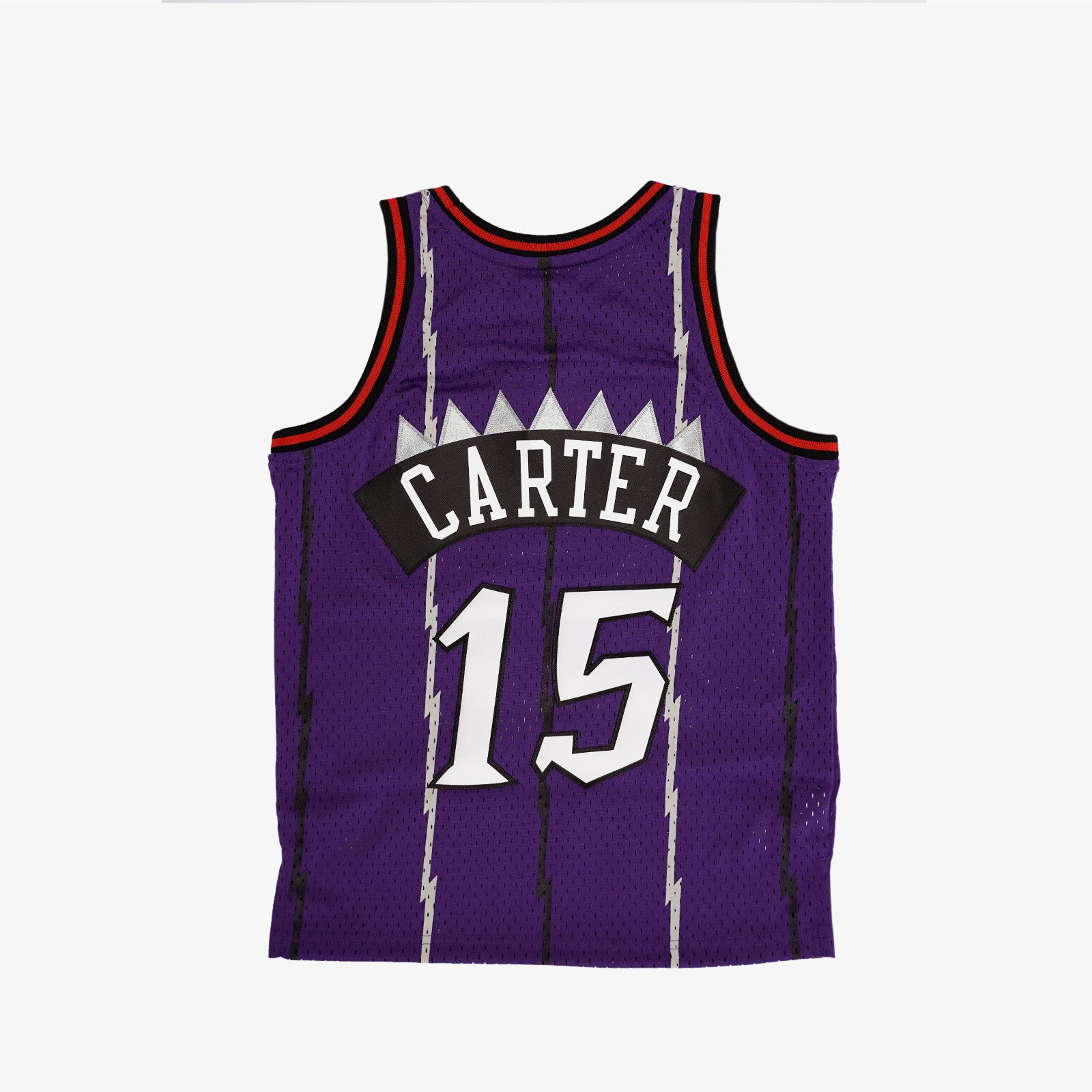 Vince Carter Raptors