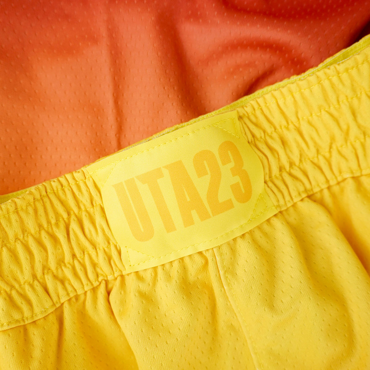 All star hotsell edition swingman shorts