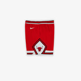 Chicago Bulls Icon Swingman Youth Shorts - Red