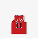 Demar Derozan Chicago Bulls Icon Edition Toddler Swingman Jersey - Red