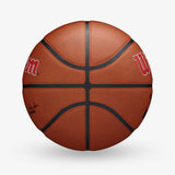 Toronto Raptors NBA Team Alliance Basketball - Size 7