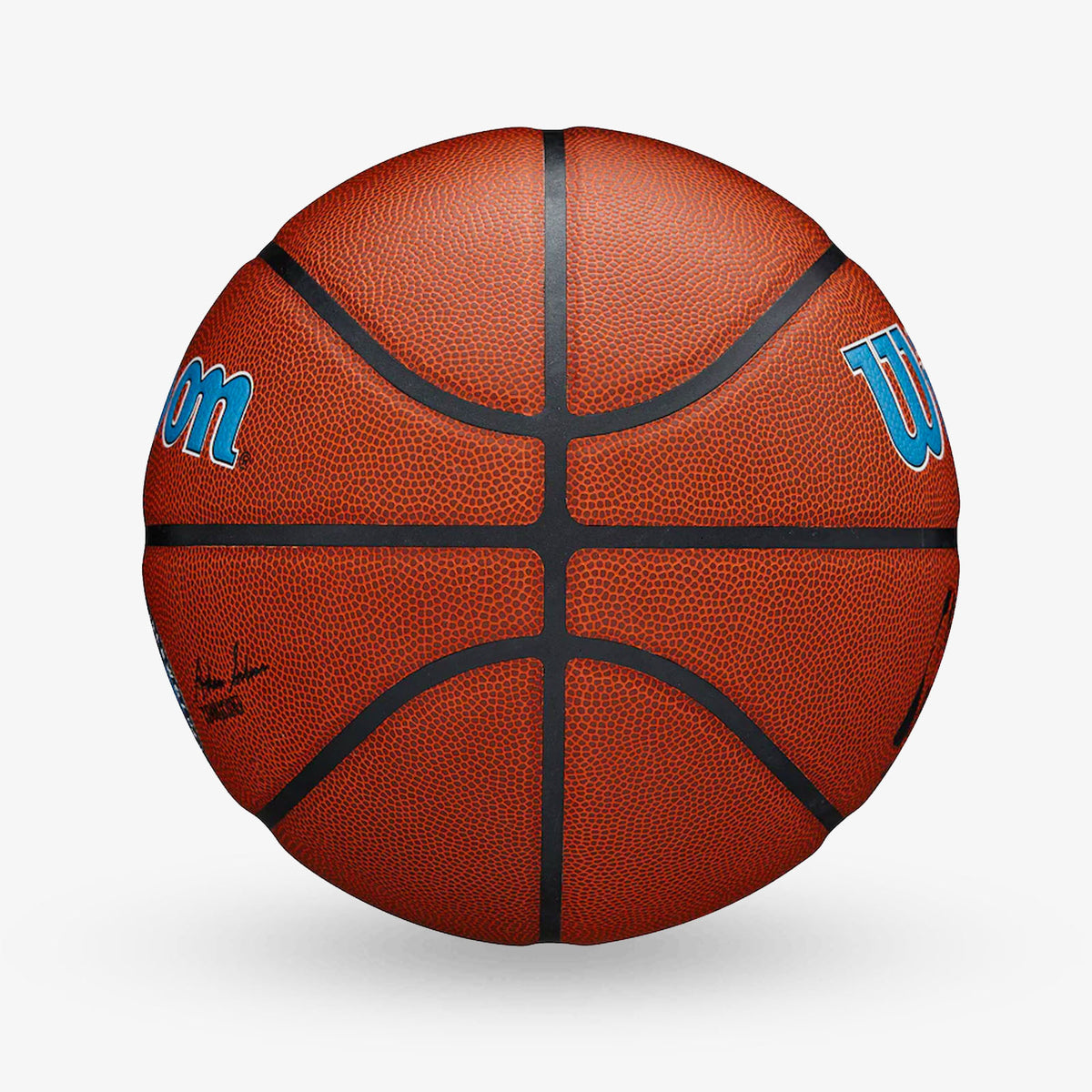 Minnesota Timberwolves NBA Team Alliance Basketball - Size 7