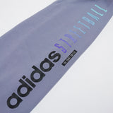 Streetball Hoodie - 'Silver Violet'